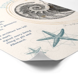 Póster Prueba de diseño de conchas marinas nautilus fibon