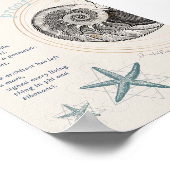 Póster Prueba de diseño de conchas marinas nautilus fibon (Esquina)