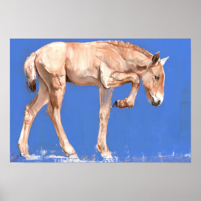 Póster Przewalski Foal 2012 (Frente)