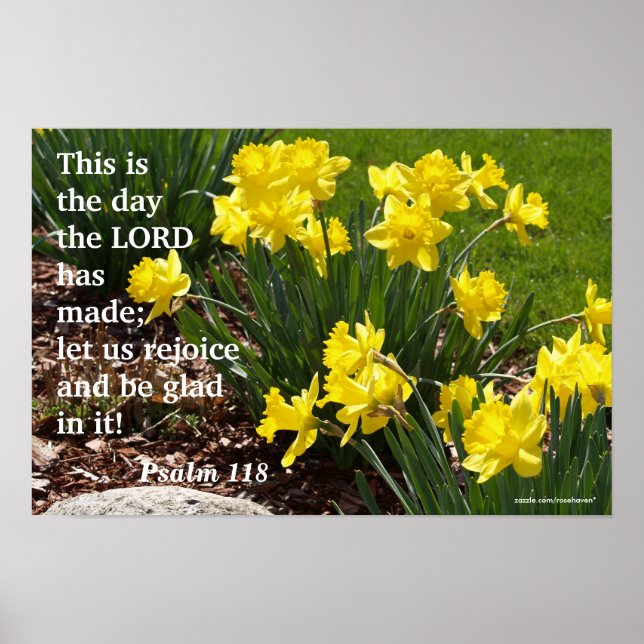 Póster Psalm 118 Daffodil Poster (Frente)