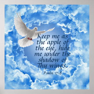 Póster Psalm 17:8 