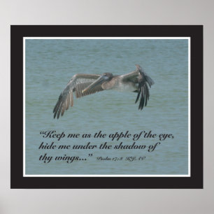 Póster Psalm 17:8 Scripture Print
