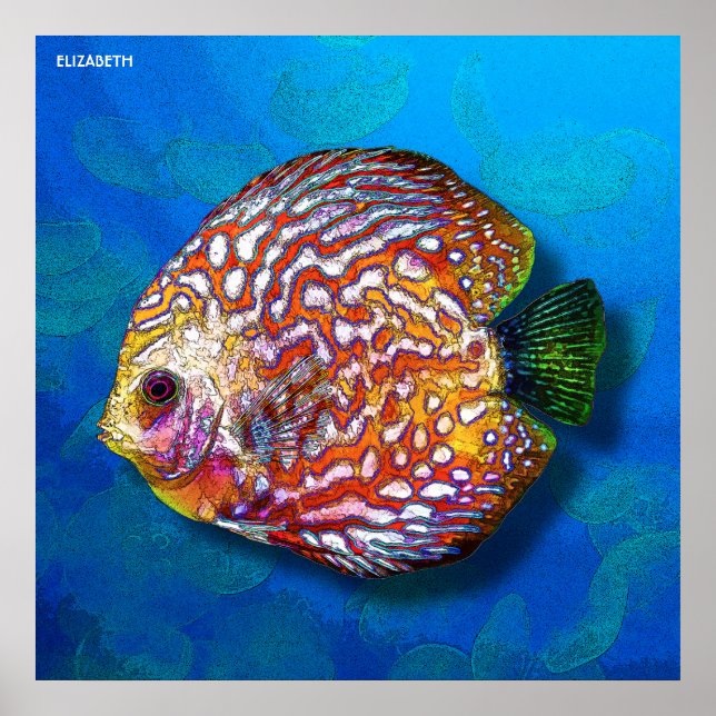 Póster Psicodelia Colorido Exótico Dibujo de Pescados (Frente)