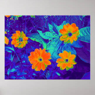 Póster Psicodelic Flower Bed 02