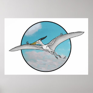 Póster Pteranodon