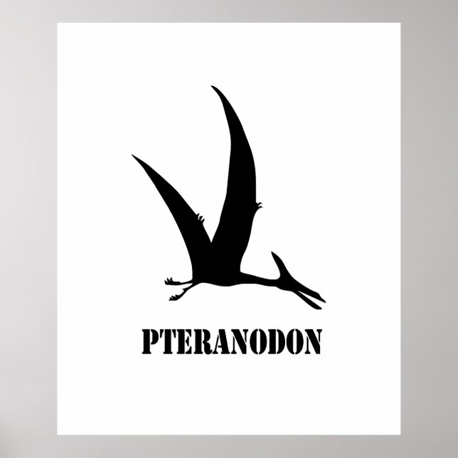 Póster pteranodon (Frente)