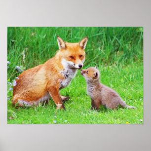 Póster Pterografía y cachorro madre