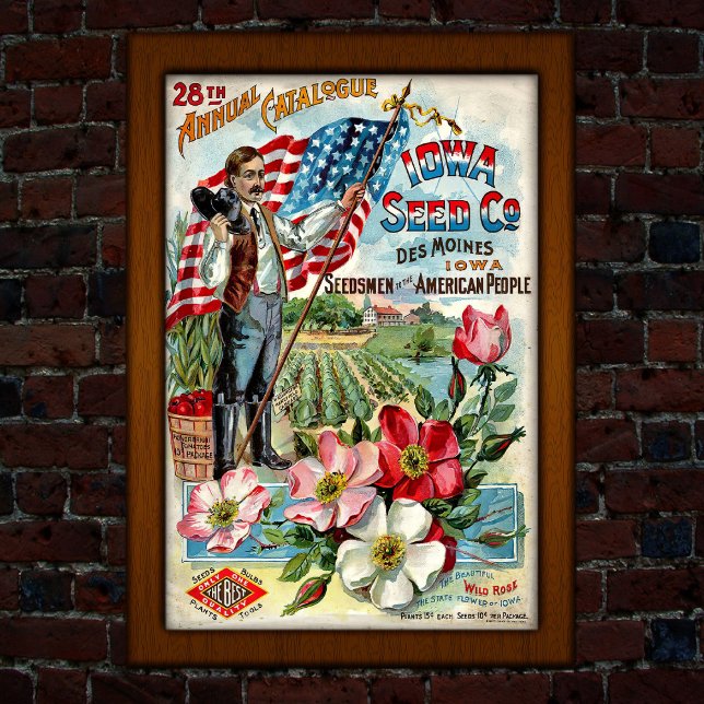 Póster Publicidad de catálogo de semillas americano vinta (Subido por el creador)