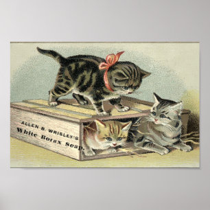 Póster Publicidad de jabón de gatitos de la época victori