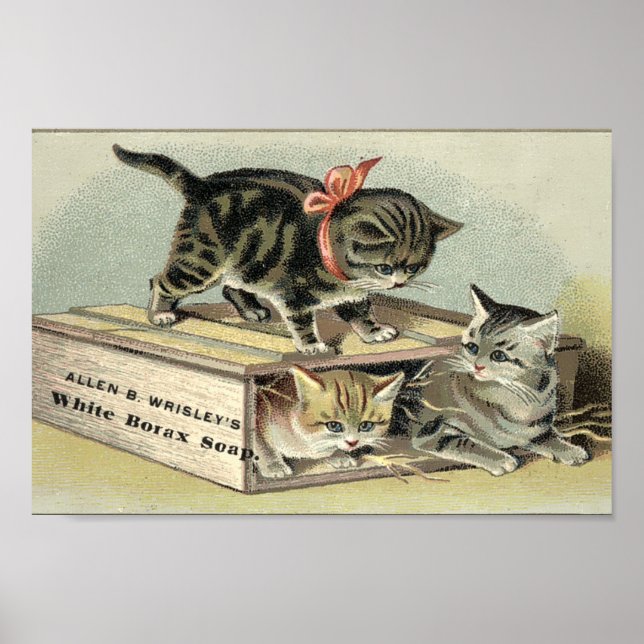 Póster Publicidad de jabón de gatitos de la época victori (Frente)