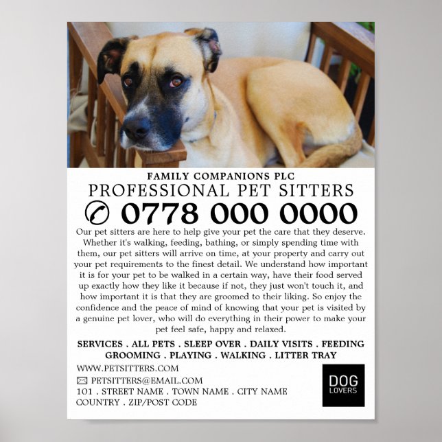 Póster Publicidad de Perro Relajado, Servicio de Sentado  (Frente)