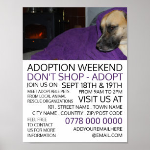 Póster Publicidad en eventos de adopción de Mascotas, Per