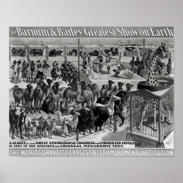 Póster Publicidad poster, 'The Barnum y Bailey (Frente)