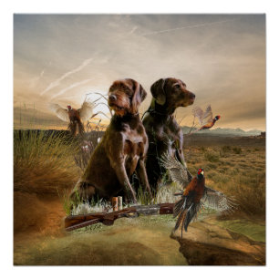 Póster Pudelpointers, faisán de caza