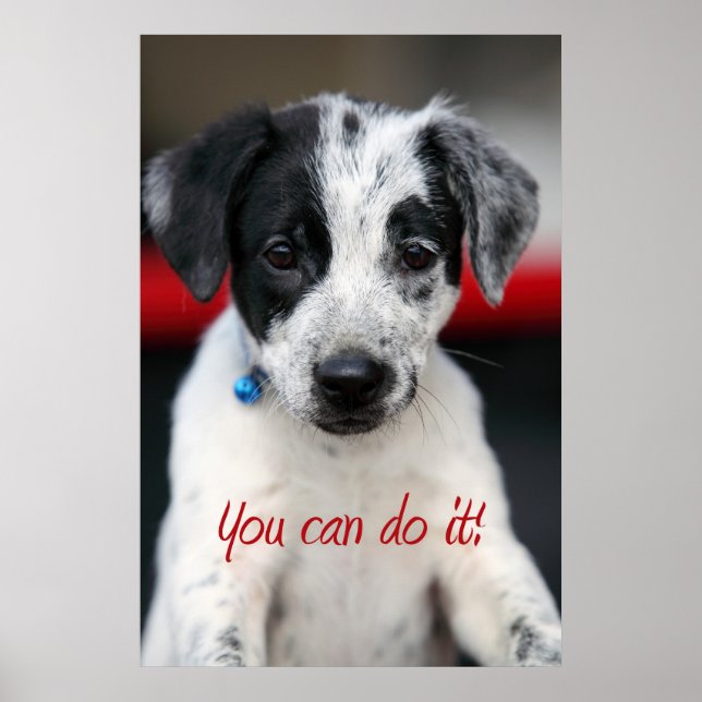 Póster ¡Puedes hacerlo! (Frente)