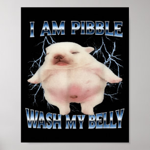 Póster Puedo lavar mi barriga perro divertido limpia mi b