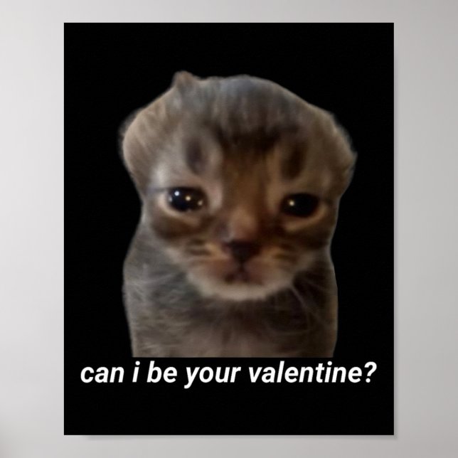 Póster ¿Puedo ser tu San Valentín Meme de gato divertido  (Frente)