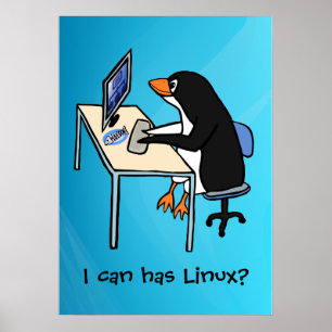 Póster ¿Puedo tener Linux?