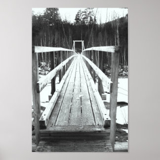 Póster Puente a la Gran Selva del Golfo