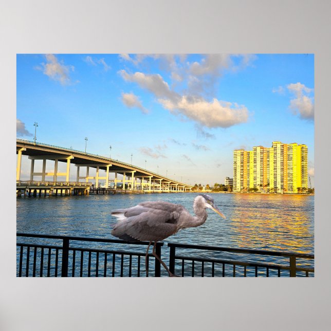 Póster Puente Blue Heron. Playa Riviera. Florida (Frente)
