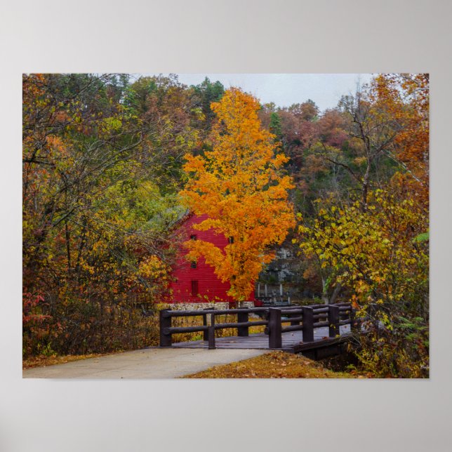 Póster Puente Camino A Alley Mill (Frente)