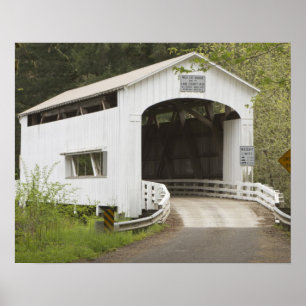 Póster Puente cubierto de gato silvestre, condado de Lane