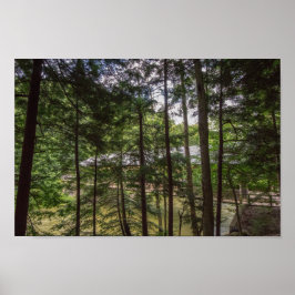 Póster Puente cubierto del Parque Estatal Mohican, Ohio.