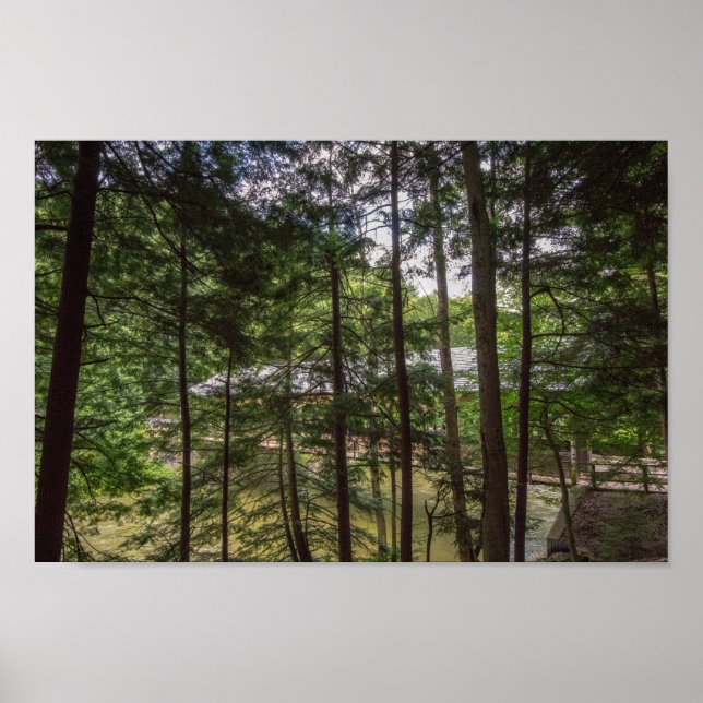 Póster Puente cubierto del Parque Estatal Mohican, Ohio. (Frente)