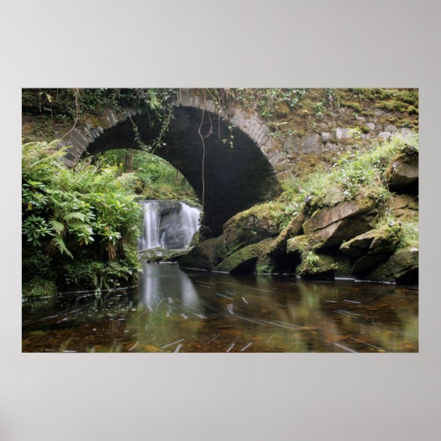 Póster Puente de cascada de Torc (Frente)