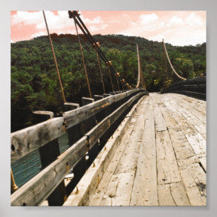 Póster puente de castores