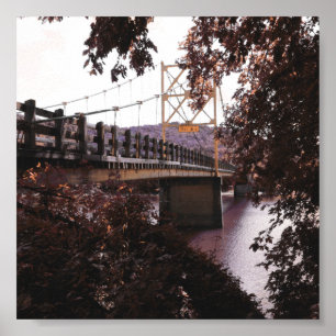 Póster puente de castores