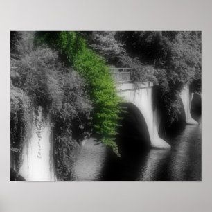 Póster Puente De Flores Color Parcial
