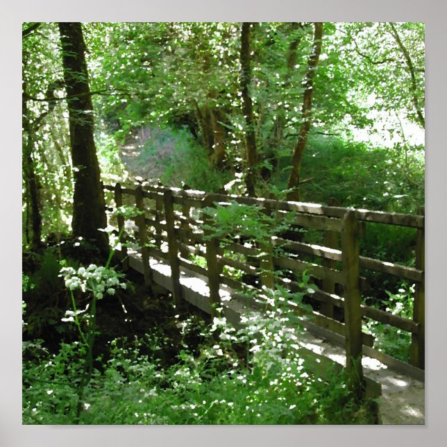Póster Puente de futbol en Woodland. (Frente)