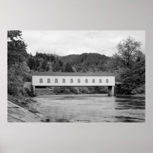 Póster Puente de Goodpasture