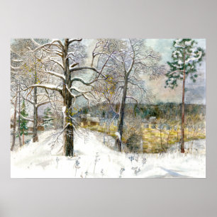 Póster puente de invierno