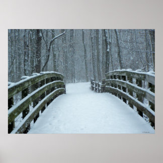 Póster Puente de invierno
