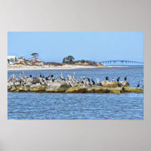 Póster Puente de la Isla de los Pelícanos y los Cormorant