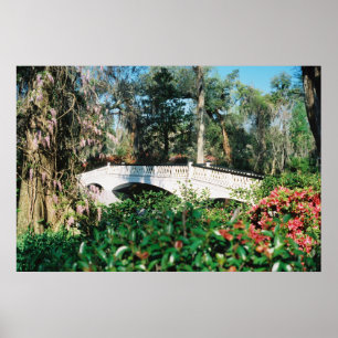 Póster Puente de la magnolia