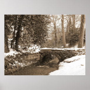 Póster Puente de piedra del invierno
