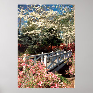 Póster Puente de primavera
