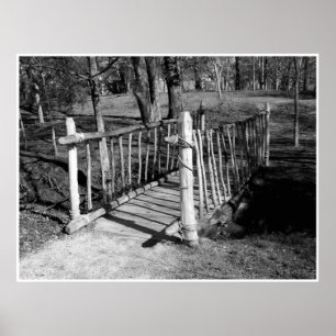 Póster Puente de ramas