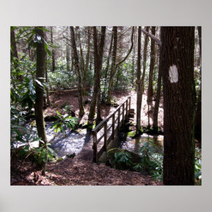 Póster Puente de rastro apalache en la bifurcación