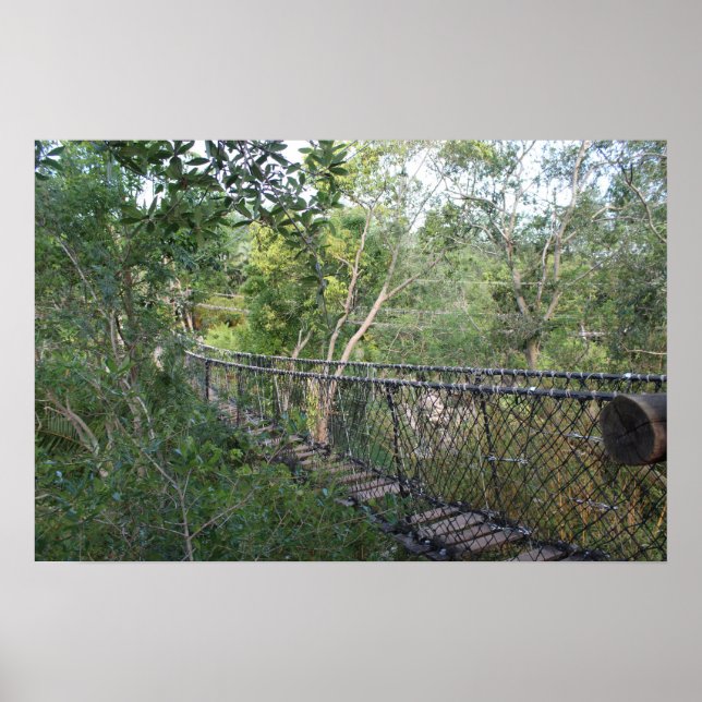 Póster Puente de Rope en los árboles (Frente)