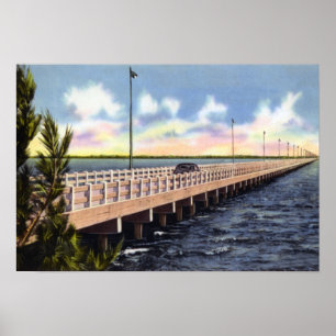 Póster Puente de Tampa la Florida Gandy