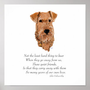 Póster Puente del Arcoíris del Terrier Irlandés