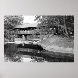 Póster Puente del Río Domingo