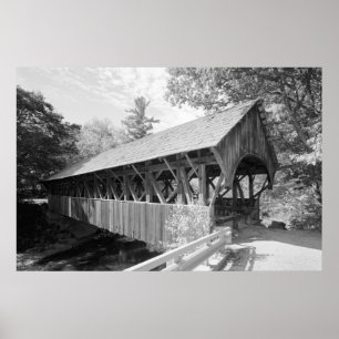 Póster Puente del Río Domingo
