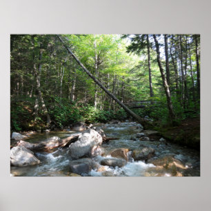 Póster Puente del río Pemigewasset en New Hampshire