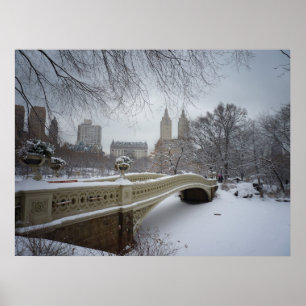 Póster Puente en invierno, Central Park, NYC, todos los