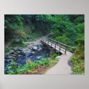 Póster Puente en las cataratas de Latourell, Oregón